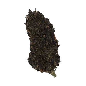 Sapphire Kush
