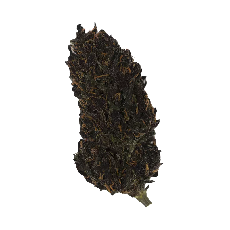 Sapphire Kush