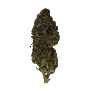 Rainbow Sherbet