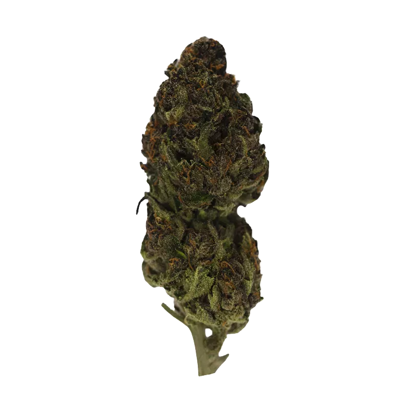 Rainbow Sherbet